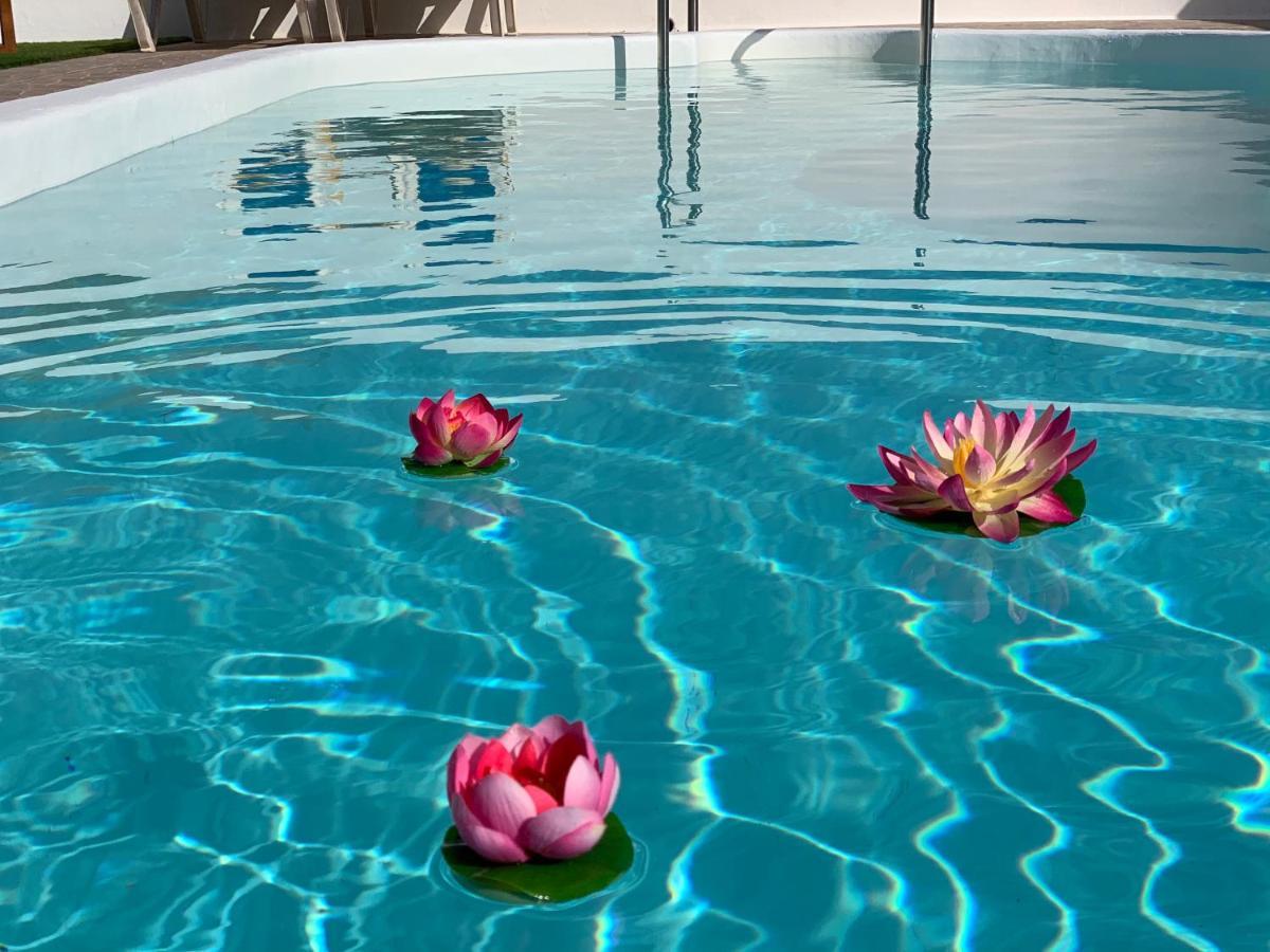 Pico Partido Villa Heated Pool Tinguaton Zewnętrze zdjęcie